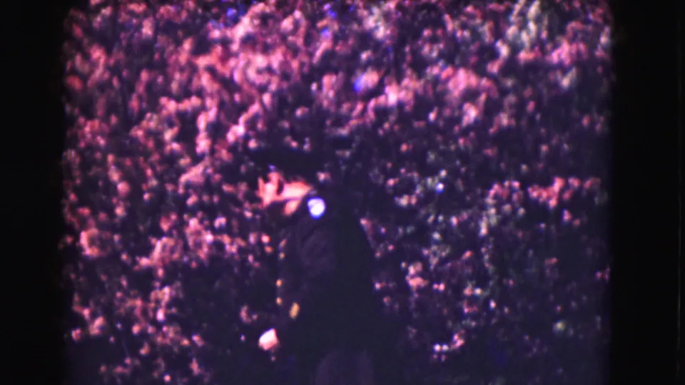 The officer continues past the dense hedge, partly turned in profile within the 8mm Washington DC sidewalk footage.