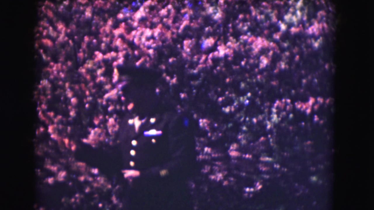 In Washington DC home-movie footage from 1975, a uniformed officer stands in profile near a flowering tree.