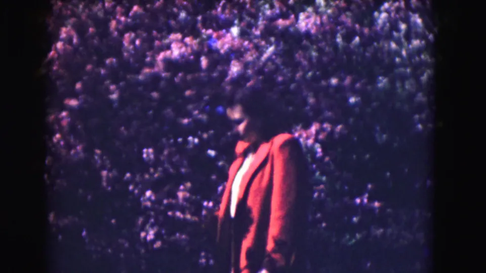 1975 Washington DC frame showing a woman in a red coat standing calmly against a purple-toned flowering hedge.