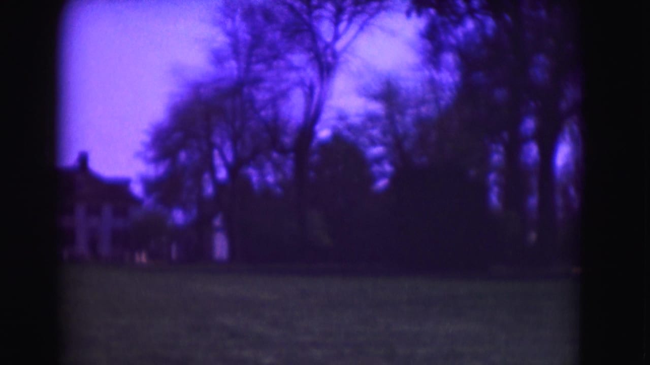 Soft 8mm view of a white mansion across a grassy lawn framed by bare trees.