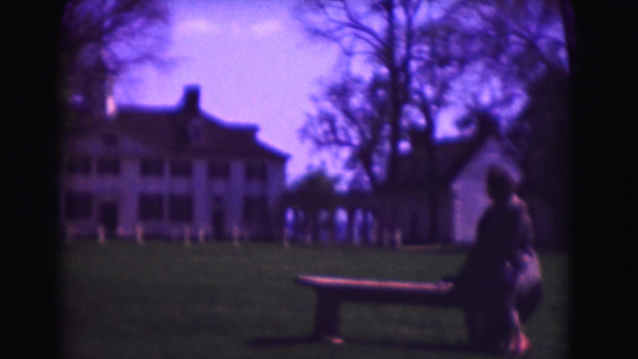 Seated person on a bench facing white historic houses across a lawn.