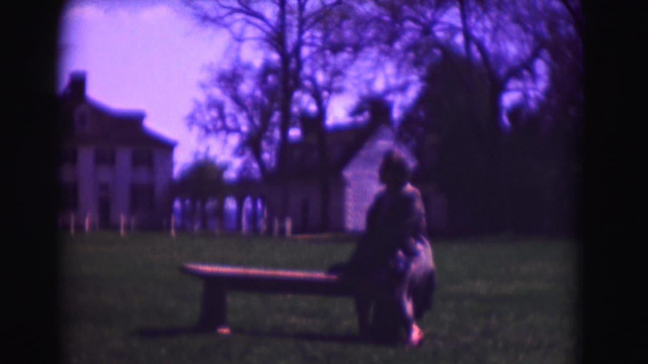Soft 8mm view of a seated person on a lawn bench with white historic houses in Washington, DC, in the background.