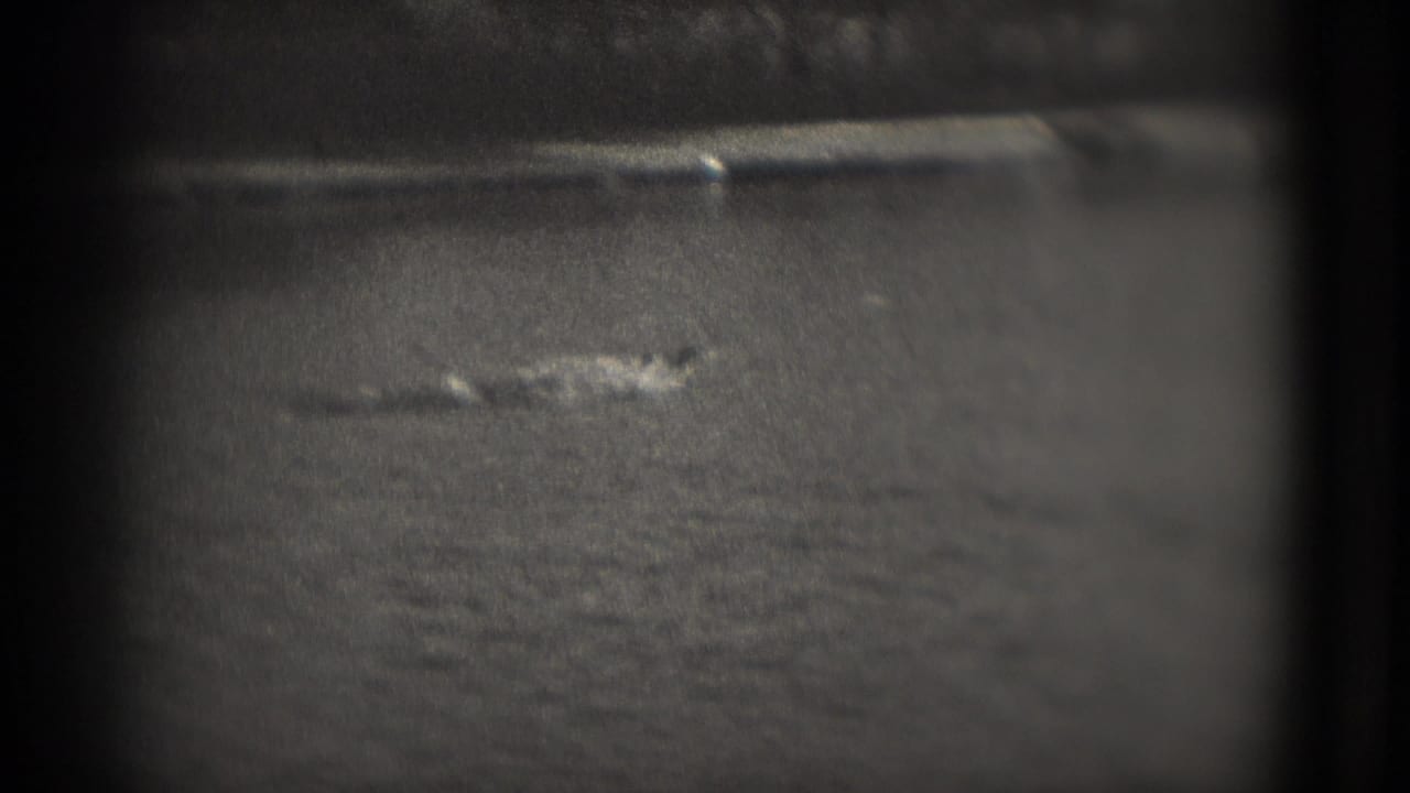 1975 Washington DC home-movie frame showing a distant water bird on a dark lake, softened by grain and blur.