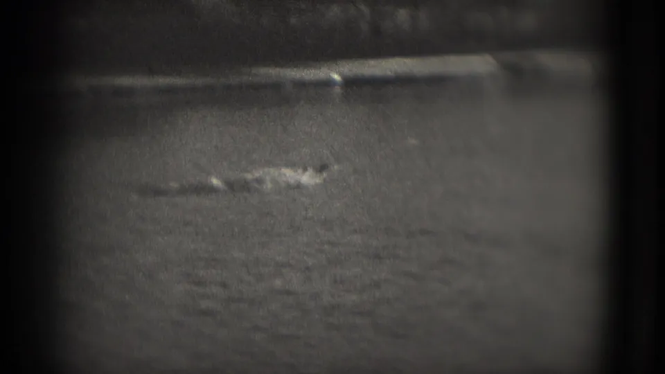 1975 Washington DC home-movie frame showing a distant water bird on a dark lake, softened by grain and blur.