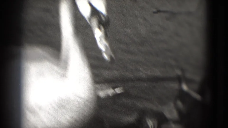 A partially framed duck appears near the water in a soft, high-contrast 8mm home-movie still from the lakeside scene.