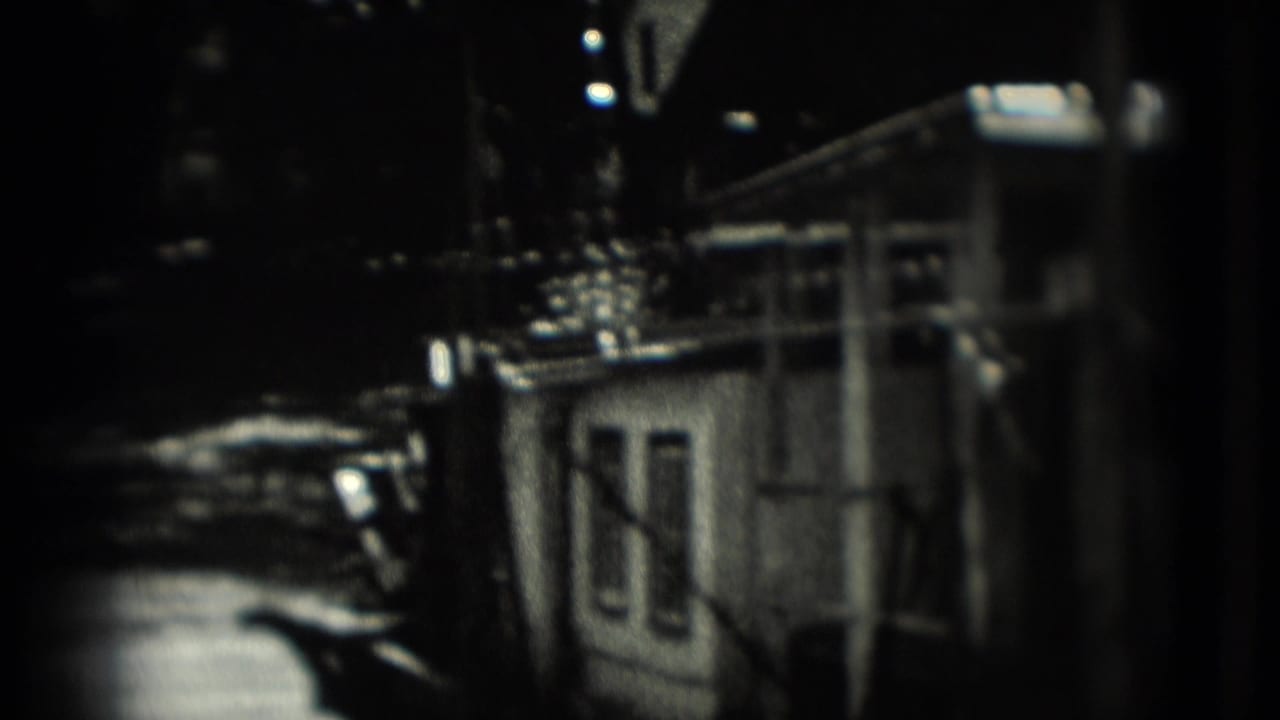 Dark 8mm frame showing part of a barred animal enclosure and a small structure at night.