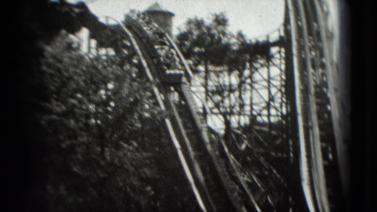Closer view of a roller coaster train on raised track beside wooden supports and trees.