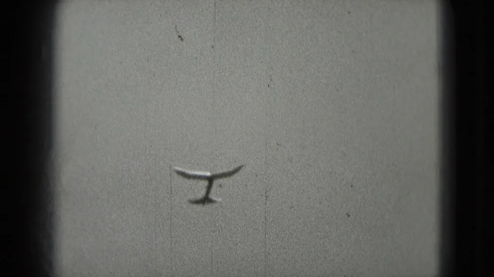 A small gull appears in soft silhouette against an overcast sky in 1975 Washington, DC 8mm home-movie footage.