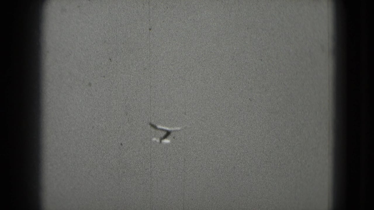 Distant bird shape crossing a gray sky inside dark frame edges.