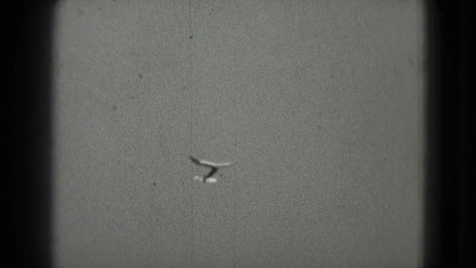 The gull appears smaller and blurrier as it crosses the gray sky, framed by the dark 8mm gate edges.