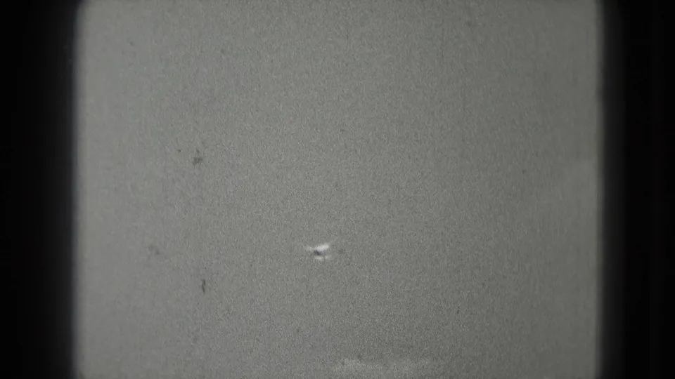 A tiny pale bird mark is visible near the lower part of the overcast sky, surrounded by grain and specks from the 8mm scan.