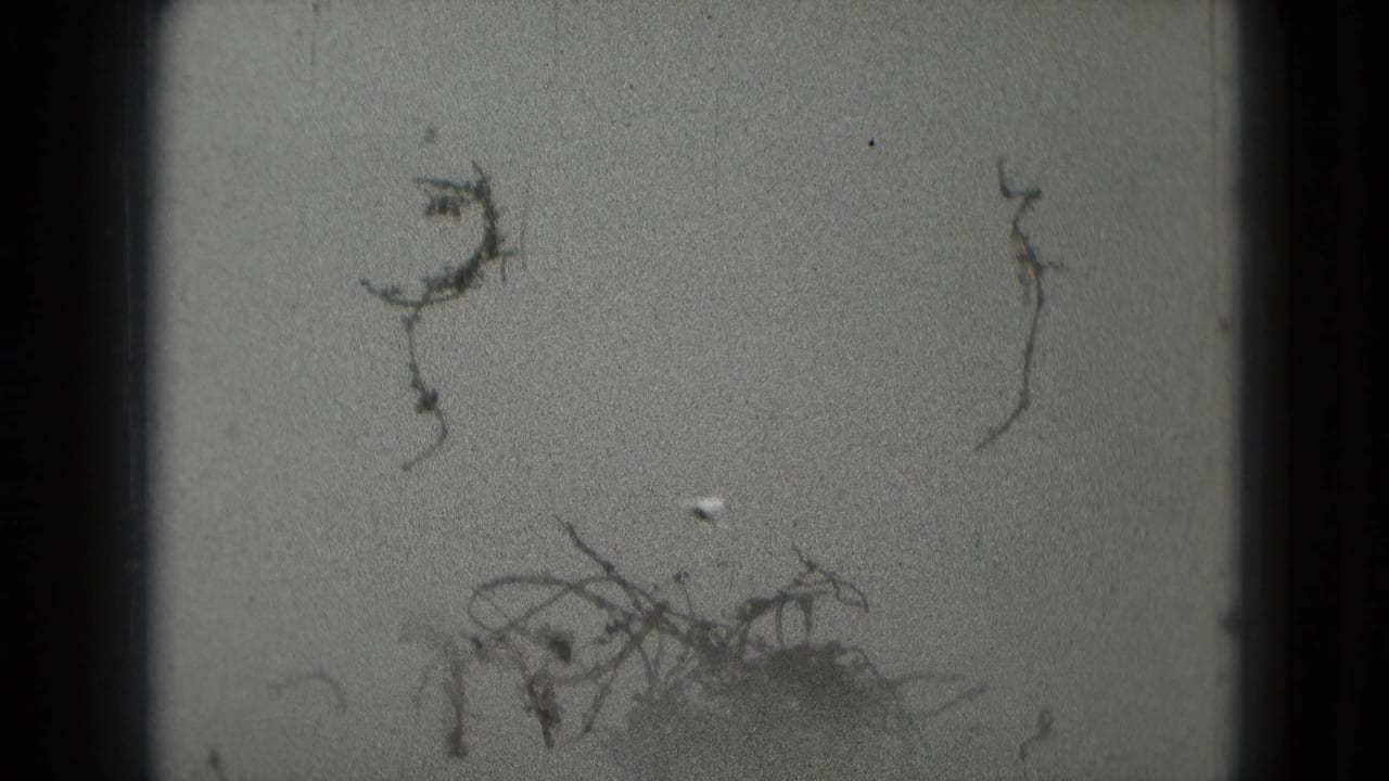 Dark, grainy frame with scratches and faint sky or ground detail.