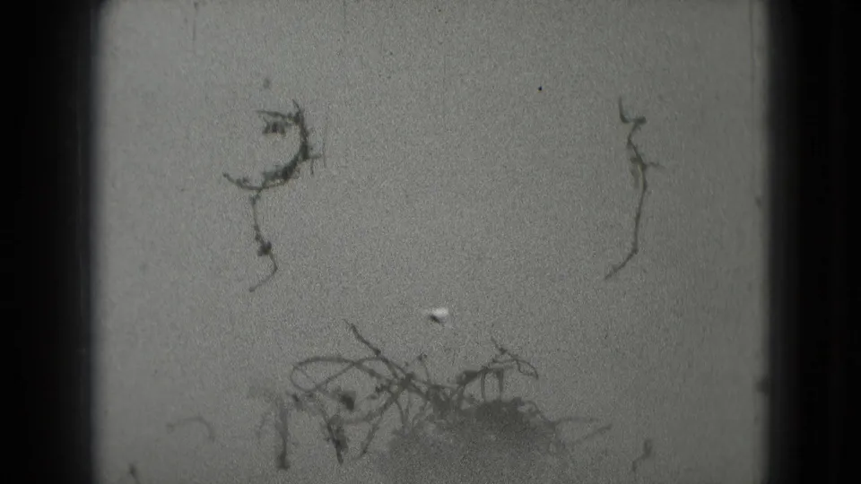 1975 8mm frame from Washington DC showing mostly dark tonal field, film scratches, and soft home-movie texture before the action resolves.