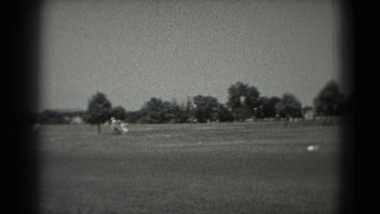 Open field with distant trees, small figures near the center and a pale object on the grass.
