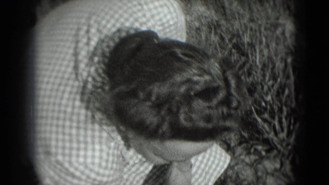 The woman bends forward in the garden, her checkered dress and styled hair visible in the soft 8mm frame.