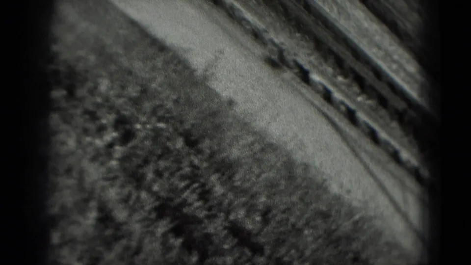 Tilted handheld frame shows a blurred outdoor ground view with grass, path, and a curb or rail after the portrait moment.