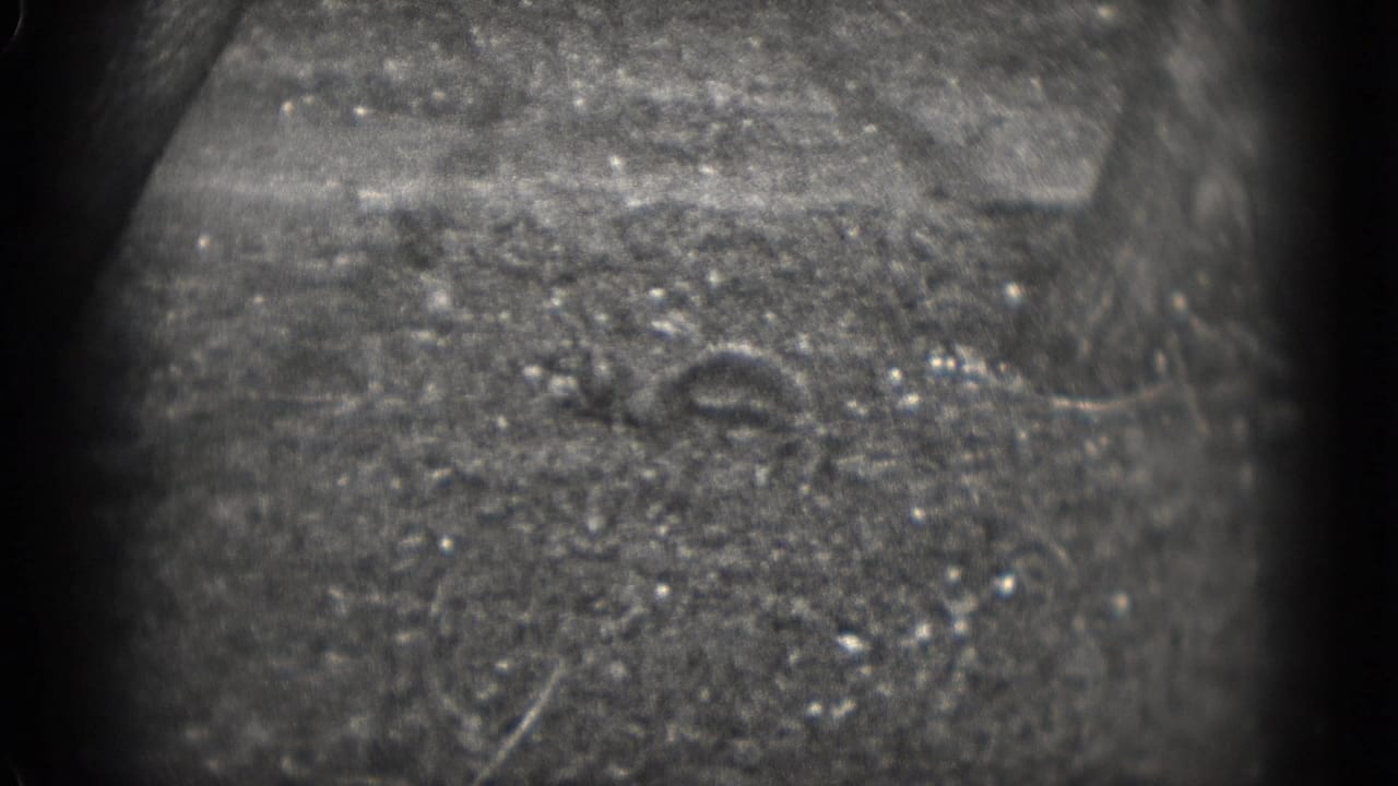 Soft black-and-white 8mm view of rough outdoor ground, likely part of the same 1975 Washington DC home-movie sequence.
