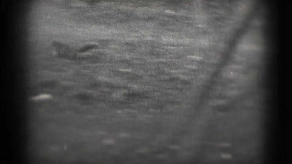 A blurred black-and-white 8mm frame shows an indistinct outdoor surface during the 1975 Washington DC home-movie clip.