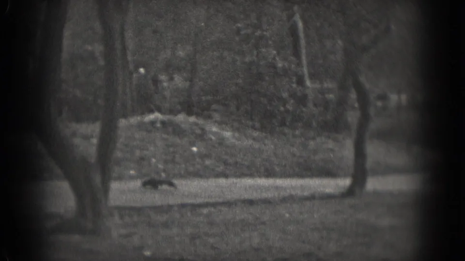 A small squirrel-like animal appears near a tree base or vertical post in black-and-white 8mm footage from Washington DC, 1975.