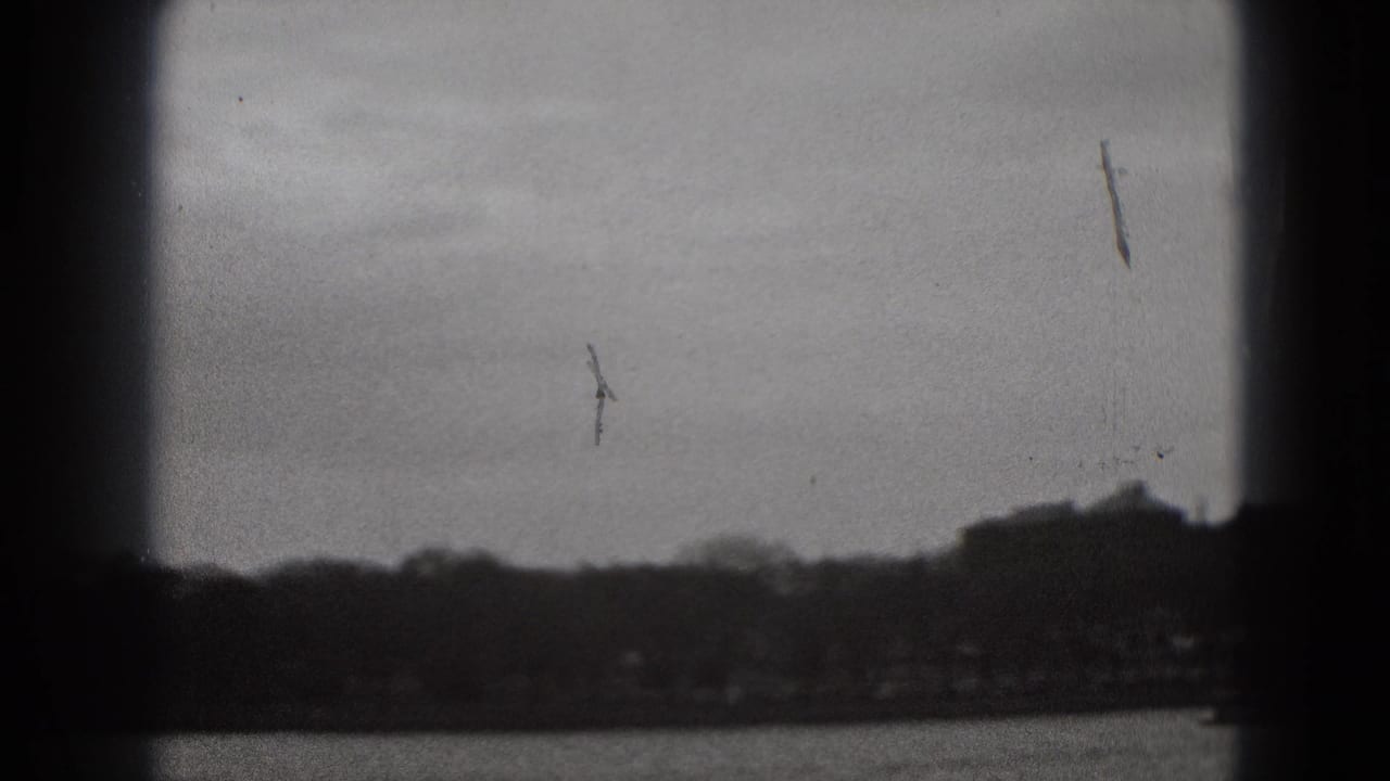 Distant shoreline and water with birds in the gray sky.