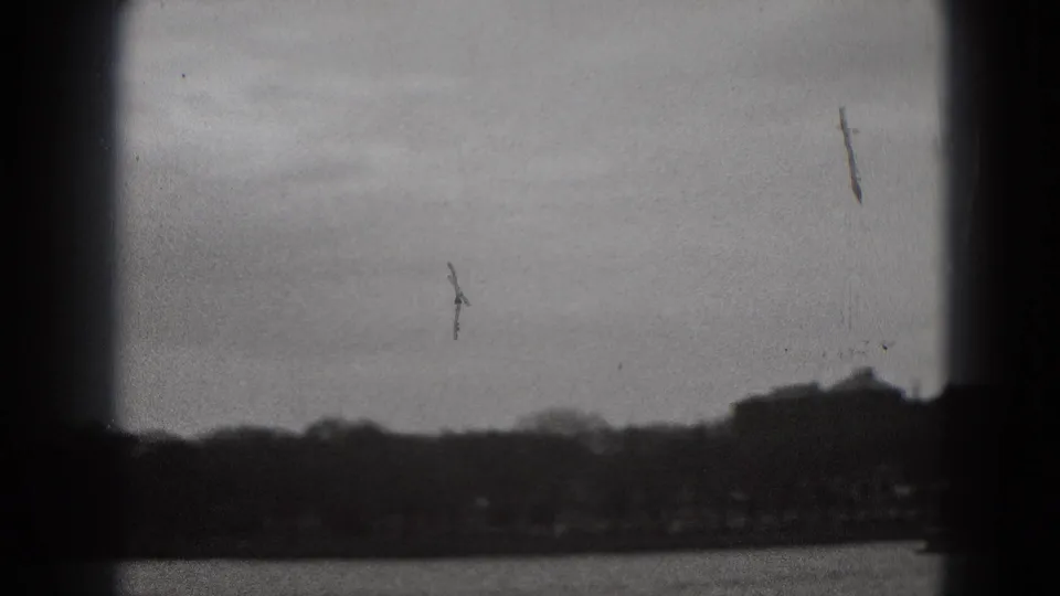 A gray 1975 Washington, DC home-movie view shows water, a distant tree line, and birds passing overhead.