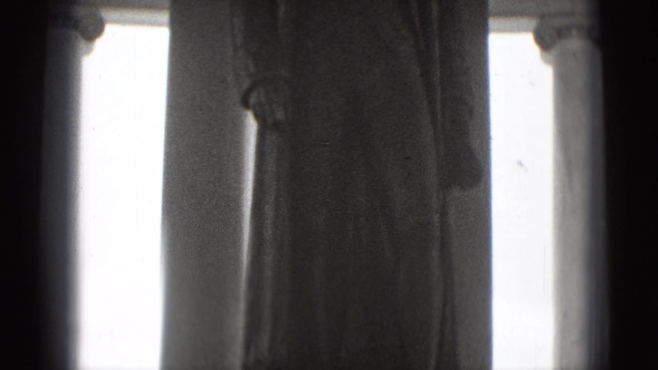 1975 Washington DC home-movie frame showing a close, soft view of a classical statue near tall monument columns.
