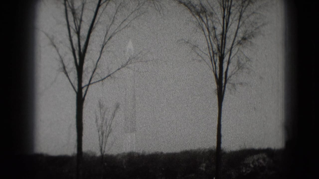 Black-and-white home-movie view of tall bare trees against a gray Washington, DC sky, framed by dark film edges.