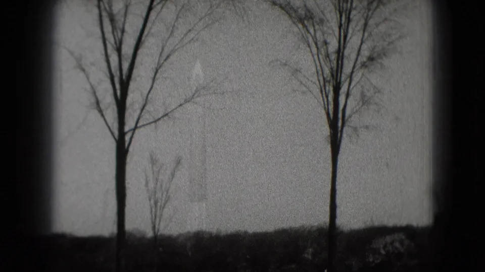 Black-and-white home-movie view of tall bare trees against a gray Washington, DC sky, framed by dark film edges.