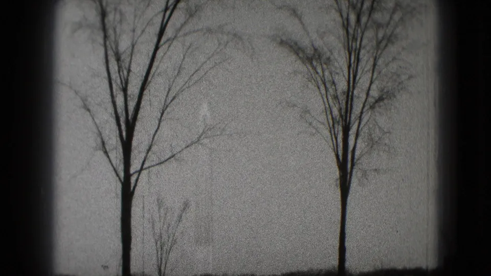 Black-and-white 8mm frame showing two bare tree trunks and small distant trees in a sparse Washington, DC park landscape.