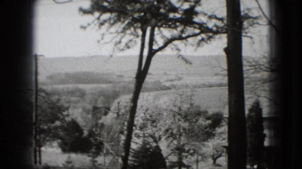 1975 home-movie frame looking from a vehicle across fields, scattered trees, and a low horizon through roadside trunks.
