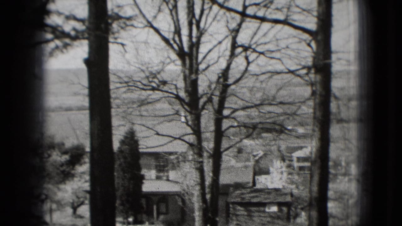 Bare tree trunks frame distant houses, fields, and low hills in black-and-white footage.