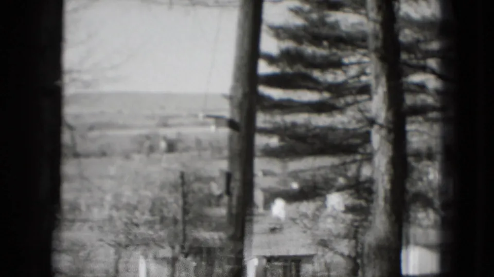 1975 black-and-white home-movie frame looking through trees toward an evergreen, fields, houses, and a hazy distant ridge.