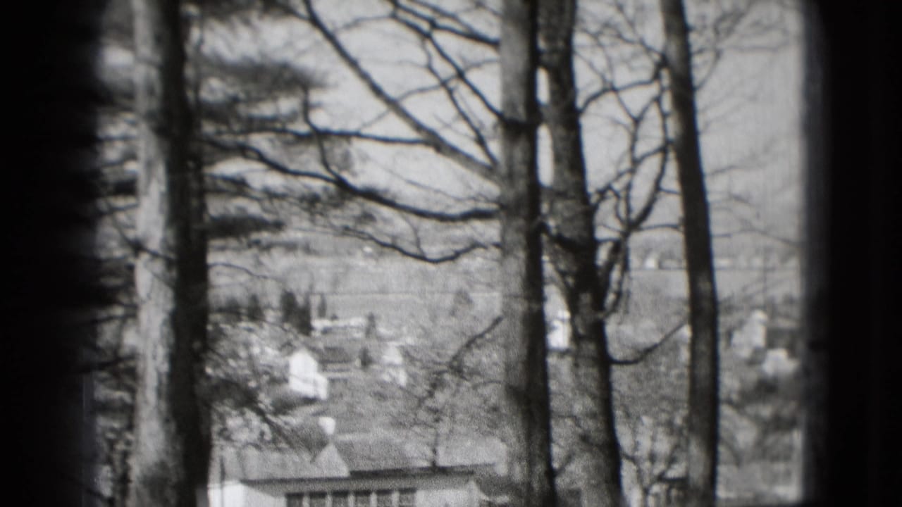 Bare tree trunks and branches frame distant houses on a wooded hillside.