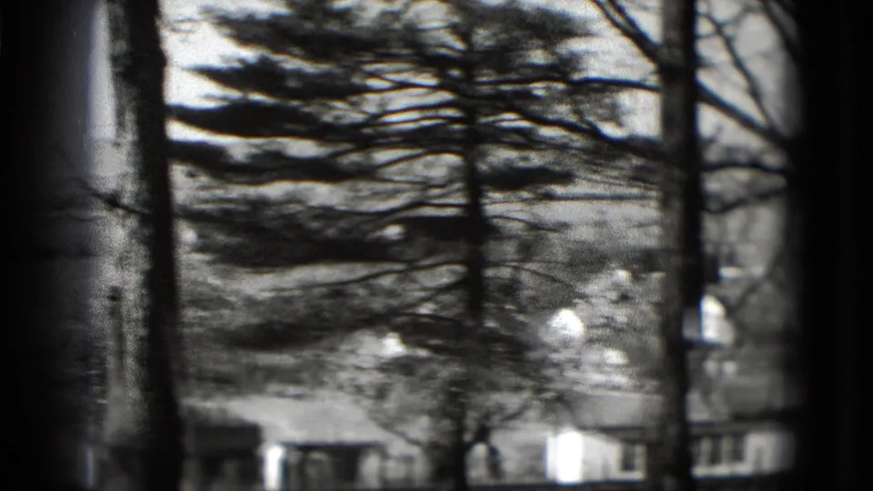 Black-and-white 1975 8mm frame showing evergreen branches, tall trunks, and houses near a wooded Washington, DC area slope.