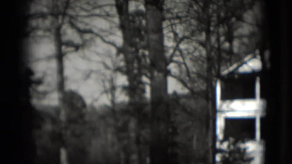 Soft 8mm frame from Washington, DC showing leafless trees and a partial residential porch at the edge.