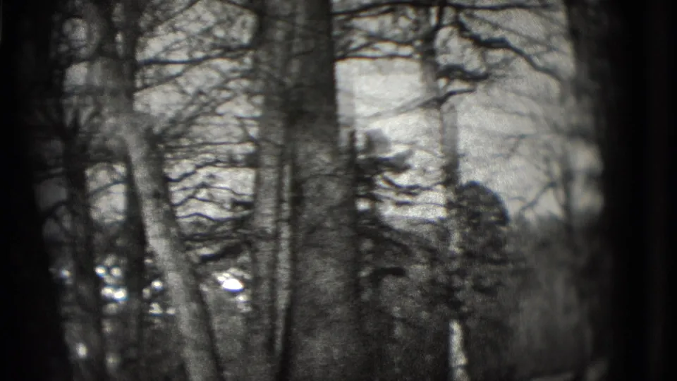 Washington, DC 1975 home-movie view of winter trees with distant residential rooftops in soft focus.