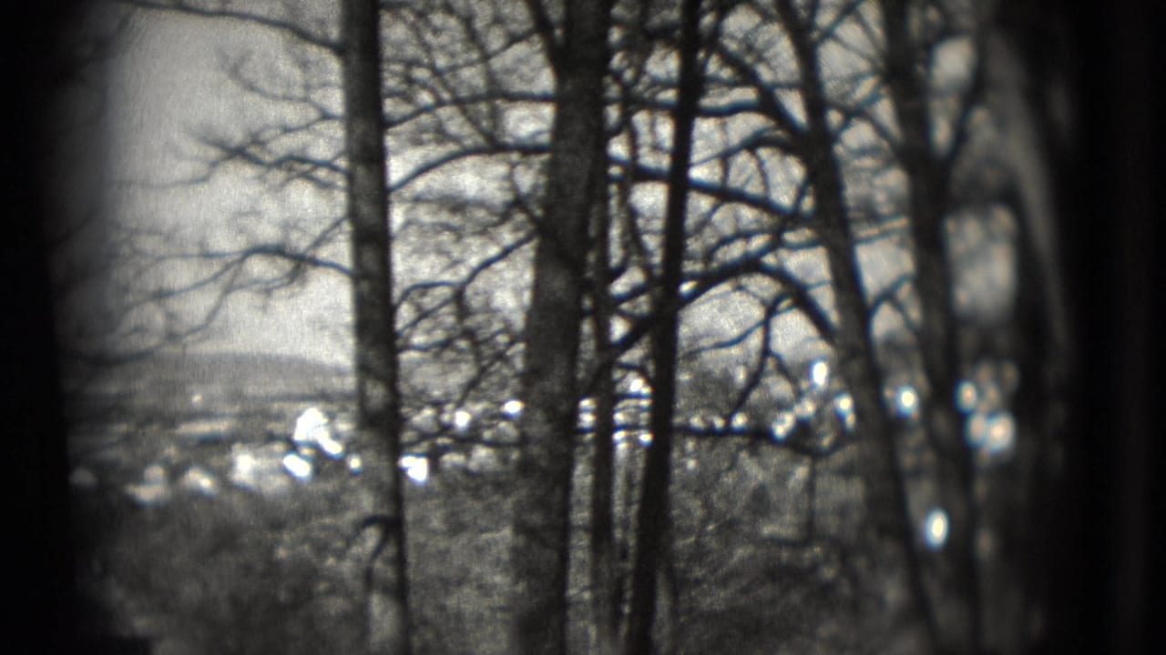 Leafless trees in the foreground with a distant town and low hills beyond.