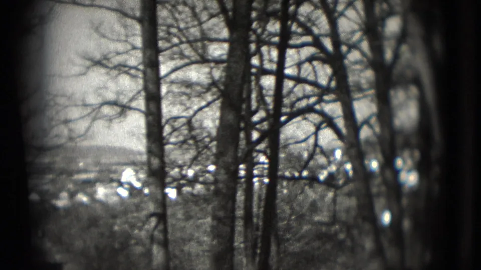 1975 8mm Washington, DC-area view through bare trees toward a distant town below an overcast sky.