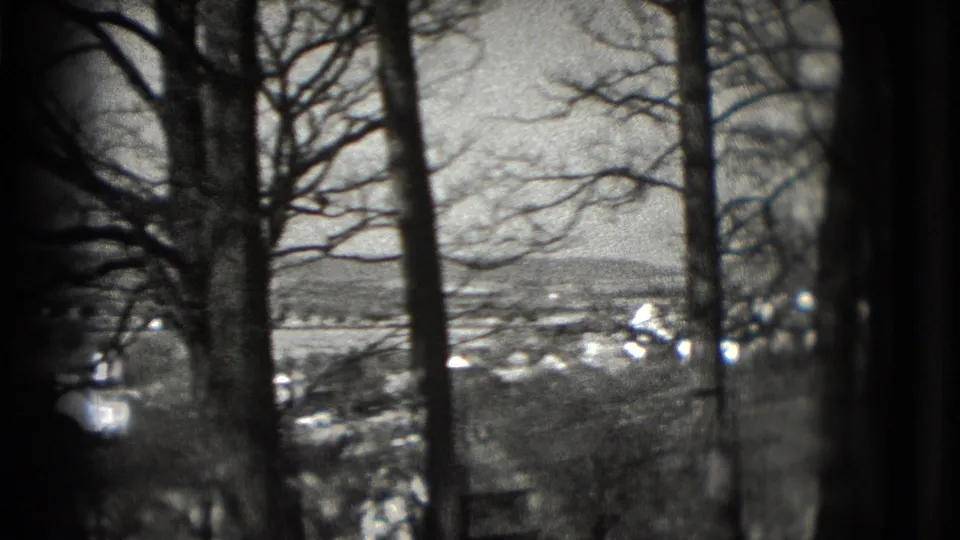 A slow 8mm pan continues through dark foreground trees toward a distant Washington, DC-area valley view.