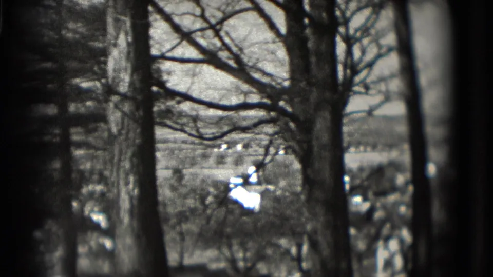 Foreground trunks and branching limbs reveal a hazy 1975 home-movie view toward buildings and hills beyond.
