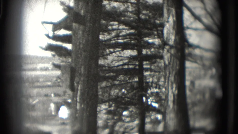 The pan ends with tall foreground trees and a bright, soft-focus view across the Washington, DC-area landscape.