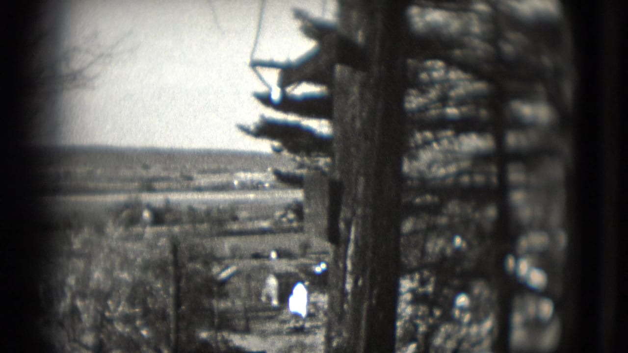 Bare trees frame a distant open field and small houses on the horizon.