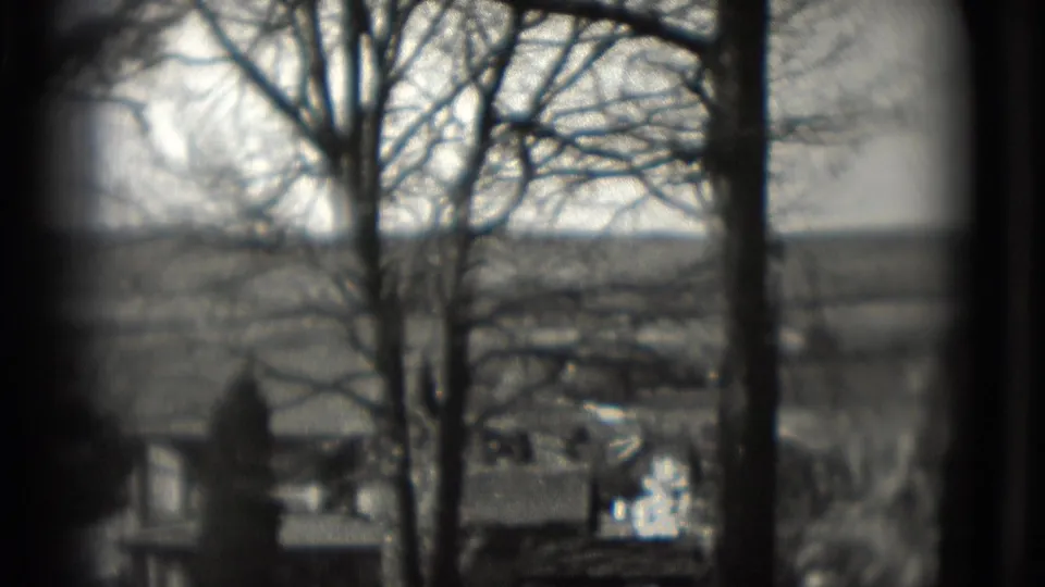 A 1975 home-movie frame shows tall leafless trees in front of open land and a small distant house.