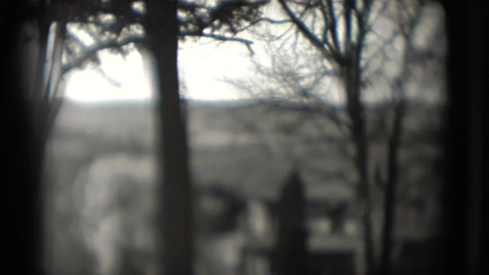 Soft 8mm frame with tree trunks, bright sky, and distant houses across an open field, from the 1975 Washington DC visit metadata.