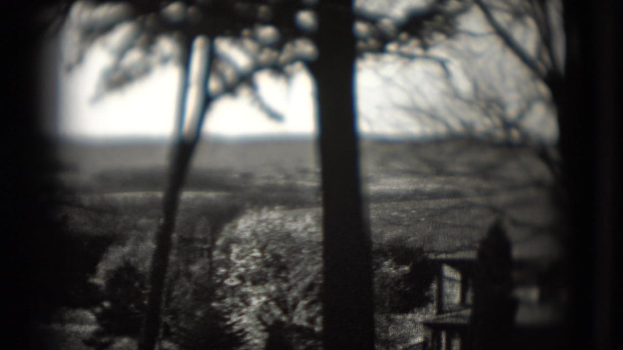 Soft rural view through dark tree trunks and branches toward hills and scattered buildings.