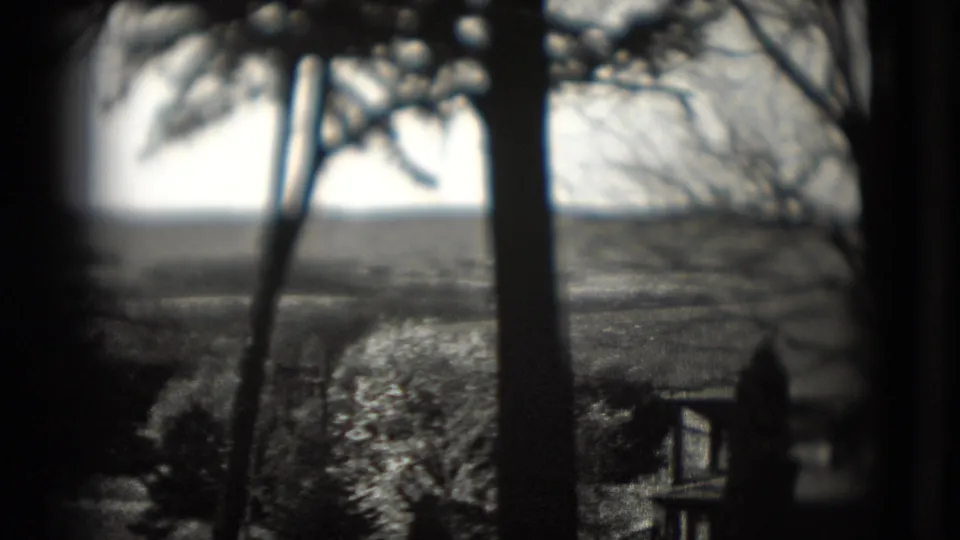 1975 8mm frame looking past dark tree trunks toward a hazy rural landscape with hills, bare branches, and distant structures.