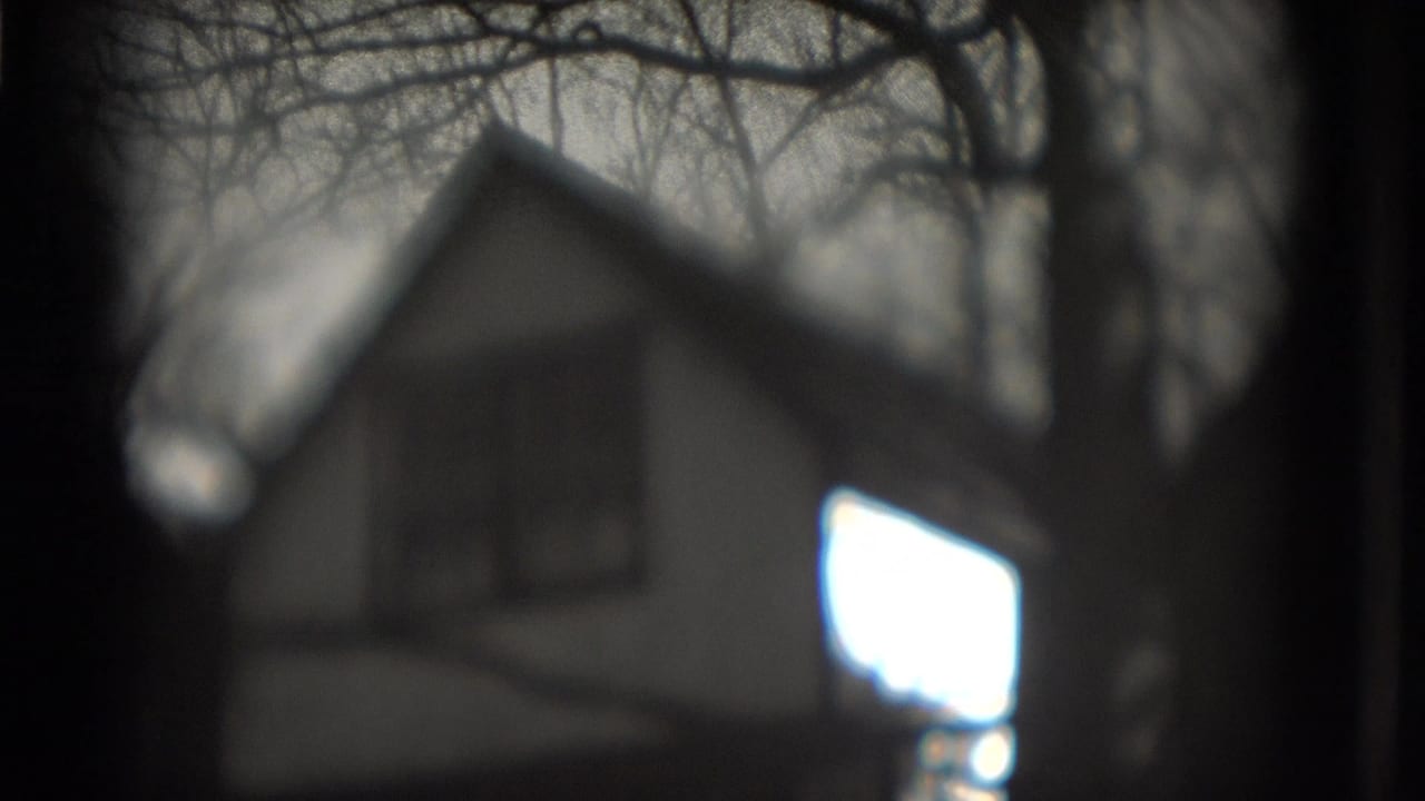 Soft-focus gabled house behind bare tree branches with a bright side opening.