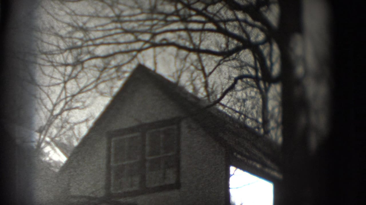 House gable and windows framed by bare tree branches.