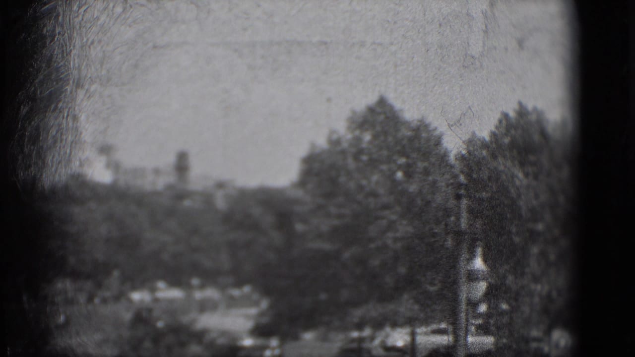 Hazy treetops and distant street seen through a dark window frame.