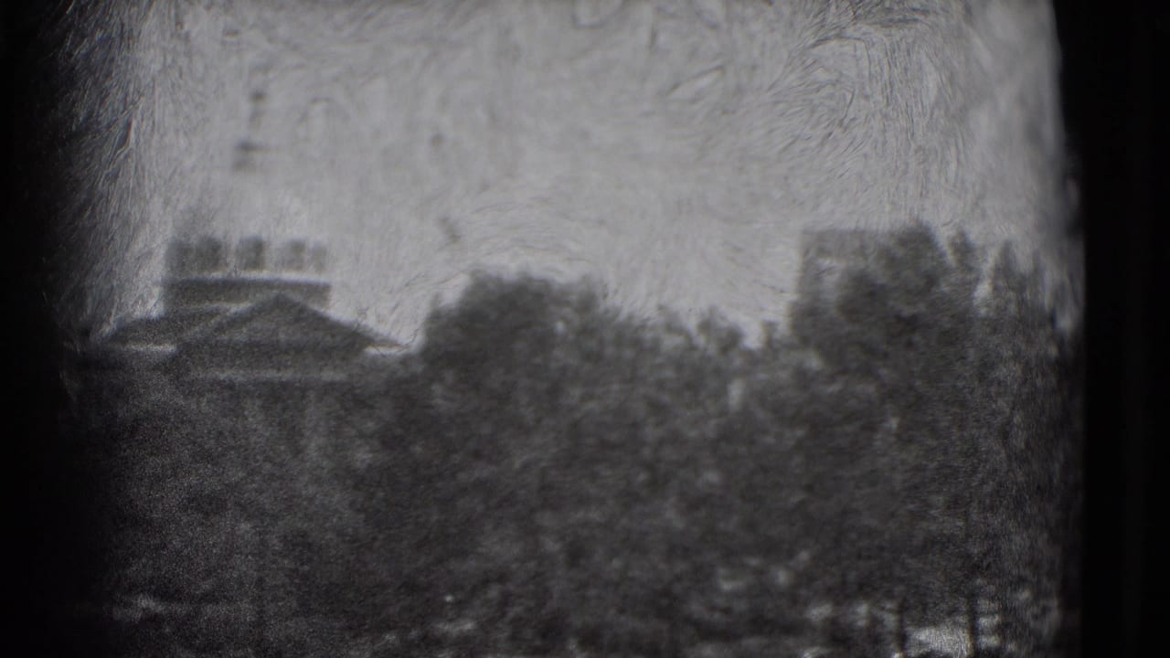 1975 Washington, DC home-movie frame showing tree canopies and distant urban buildings through soft 8mm focus.